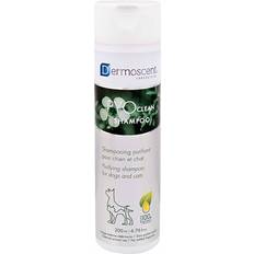 PYOclean Shampoo 200 ml