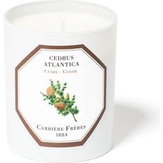 Carriere Freres Cedrus Atlantica Scented Candle