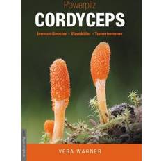 Cordyceps Powerpilz Cordyceps