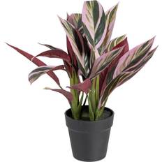 Macetas Exteriores rebaja BigBuy Home Planta Decorativa 44 x 39 x 48 cm Rosa Verde PVC