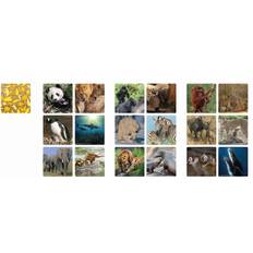 Ambassador Ambassador Memo Animal Families