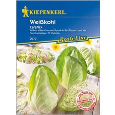 Gemüsesamen Kiepenkerl Spitzkohl Caraflex Brassica oleracea capitata