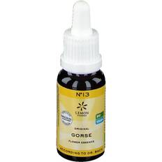Citron/lime Kosttilskud Hager Pharma Bachblomster Tornblad Gorse • 20ml.