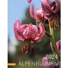 Alpenblumen Kalender 2024