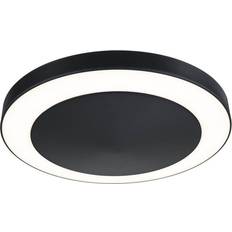 Paulmann Lustres Paulmann Circula 94526 Applique LED 14 W Anthracite Plafonnier