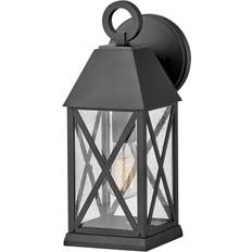 Lighting Hinkley 23300 Briar Wall Light