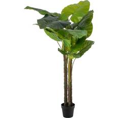 Verre Plantes Artificielles BigBuy Home Decorative 75 Green Philodendron Artificial Plant