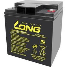 Batterier 12v 30ah Long WP30-12TNE Blybatteri 12 V 30 Ah Blyfle.