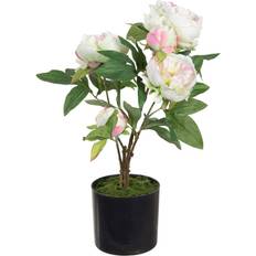 Beige Plantes Artificielles BigBuy Home Décorative 36 x 30 x 44 cm Crème Pivoine Plante Artificielle