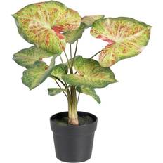 BigBuy Home Dekorativ plante 48