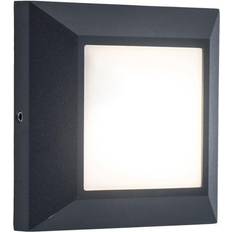 Illuminazioni Lutec LED Moderno Da Esterni A 200lm 4000K 4x11x11.5 cm Applique