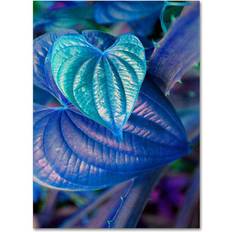 Wall Decorations Trademark Fine Art 'Neon Patty Tuggle Photographic Print on Framed Art