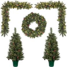 Transparent Decorations Vickerman 573709 Lit Potted Christmas Tree, Garland Front Decoration