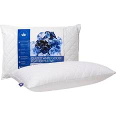 Down Pillows & Feather Bed Feather Down Pillow