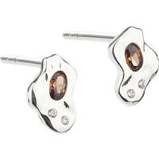 Aqua Dulce Petit Piercing Earrings - Silver/Brown