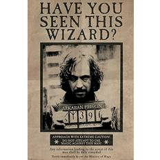 Bois Affiches Pyramid International Harry Potter Wanted Sirius Affiche 61x91.5cm