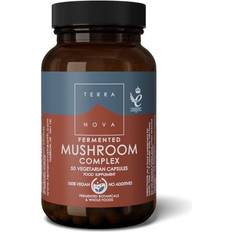 Mushroom complex Terranova Fermented Mushroom Complex