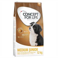 Concept for Life Medium Junior Ekonomipack: 2