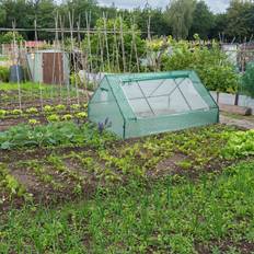 Low Foil Greenhouse Peaked Roof UV-Resistant 110 x 180 x 150 cm