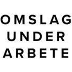Det blå (Ljudbok)