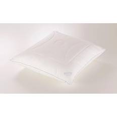 Paradies Softy Duett Plus Bio Daunendecke (80x80cm)