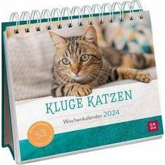 Kluge Katzen 2024