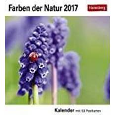 Farben der 2024: Wochenkalender