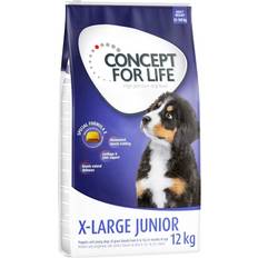 Concept for Life X-Large Junior Økonomipakke 2