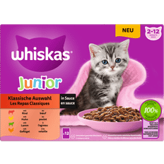 Kissa - Märkäruoka Lemmikit Whiskas Junior Perinteinen Kastikevalikoima 144 x 85 g