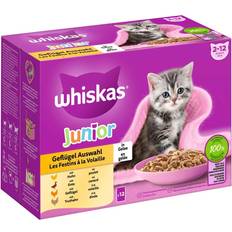 Whiskas junior Whiskas Junior portionspåse 12 85 Fjäderfäurval