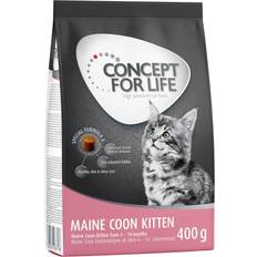 Concept for life maine coon Concept for Life 400 till prova-på-pris! Maine Coon