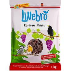 Lillebro foderrussin 1 Ekonomipack: 3