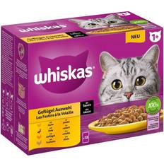 Whiskas sås Whiskas 1+ Adult portionspåsar 12 85 Fjäderfäurval sås