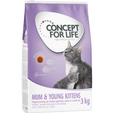 Concept for Life Katter Husdjur Concept for Life Mum & Young Kittens 3