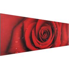 Acoustic Panels Alu-Dibond Bild Blumen Panorama Rote Rose mit Wassertropfen