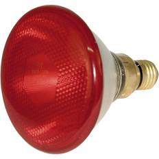 Infrared lamp Kerbl Economic Infrared Lamp - Rouge