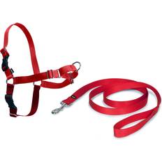 Colliers et laisses pour chiens Animaux de compagnie PetSafe Harnais Easy Walk Rouge CY3118