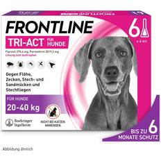 Frontline Mascotas Frontline TRI-ACT gegen Zecken, Flöhe fliegende Insekten