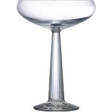 Nude Glass Big Top Coupe Glasses Set of 2 Copa de Vino