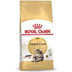 Aliment Sec - Chat Animaux de compagnie Royal Canin Maine Coon 31 10 kg 10kg