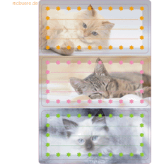 Office Supplies Herma Book Labels for Labelling Cats 76 x 35 mm