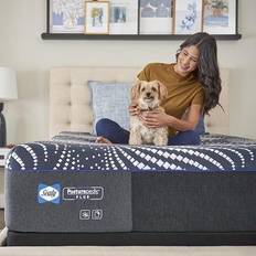 Foam Mattresses Sealy Queen Posturepedic Plus Foam High Point Ultra Soft Polyether Mattress