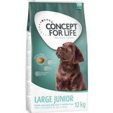 Concept for Life Large Junior Economy Pack: 2