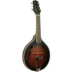 Left handed guitar Gold Tone A-6 Left-Handed A-style Mando-Guitar with Case Tobacco Sunburst