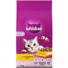 Whiskas tørfoder Whiskas Adult kylling 3,8