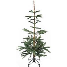 Interior Details Northlight Slim Nordmann Fir Christmas Tree