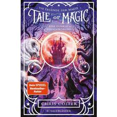 PC-Spiele Tale of Magic: Die Legende der Magie 2 Eine