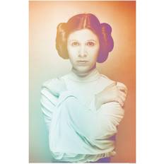 Classic Icons Color Leia 50x70cm