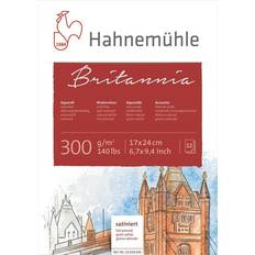 Carte per acquerello Hahnemuhle Aquarellblock 12 Bl. Britannia satiniert 17x24cm 300g