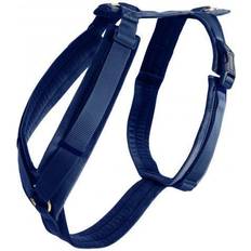 Aucune Active Dog Harness Kentucky Velvet Bleu